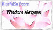 wisdom